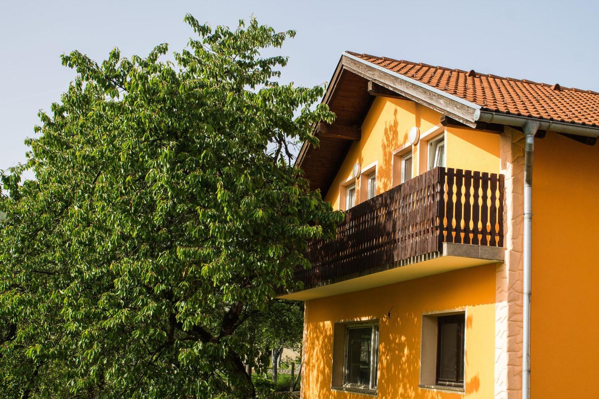 Pavlesic Apartment