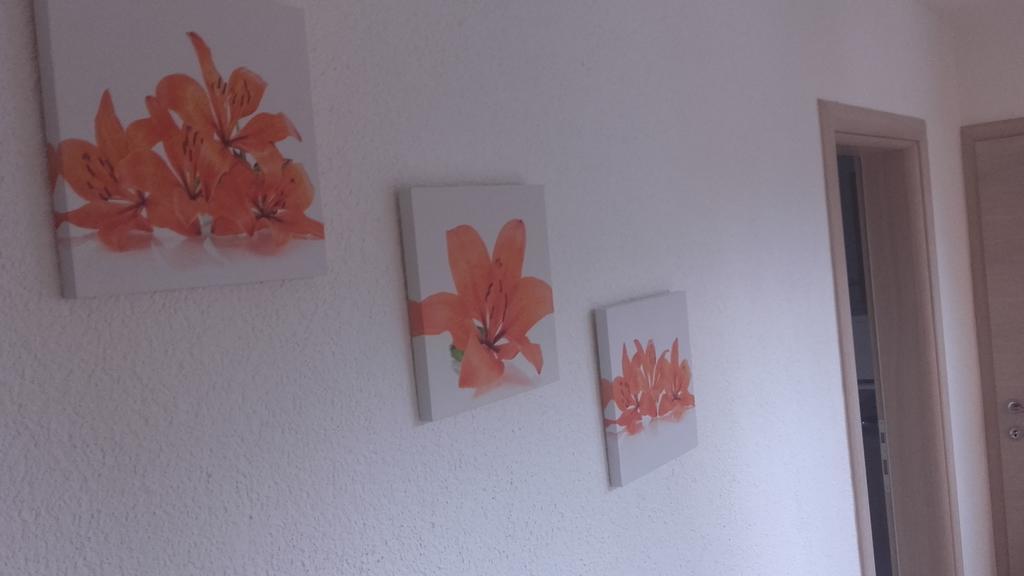 Apartment Pavlesic *